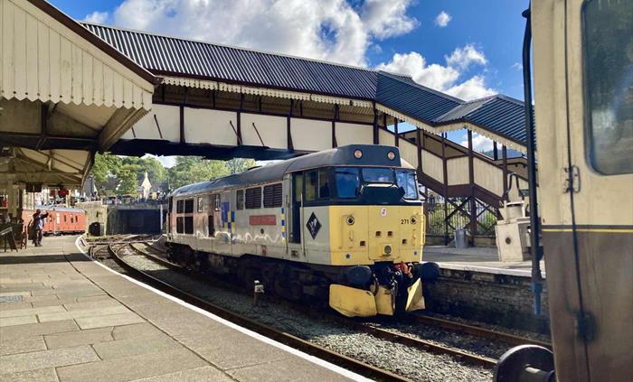 Class 31